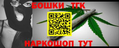 стаф Дубна