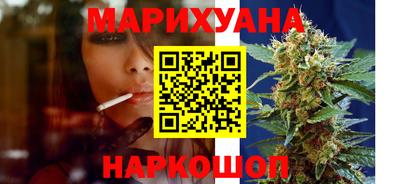 стаф Дубна