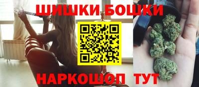 стаф Дубна