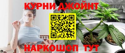 стаф Дубна