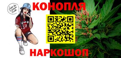 стаф Дубна