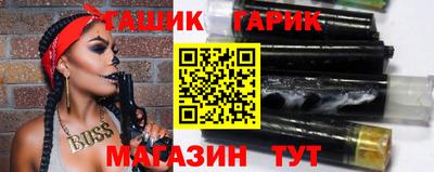 стаф Дубна