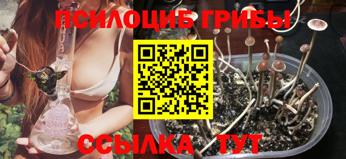 Озёры  Галлюциногенные грибы Psilocybine cubensis  Вход с VPN 